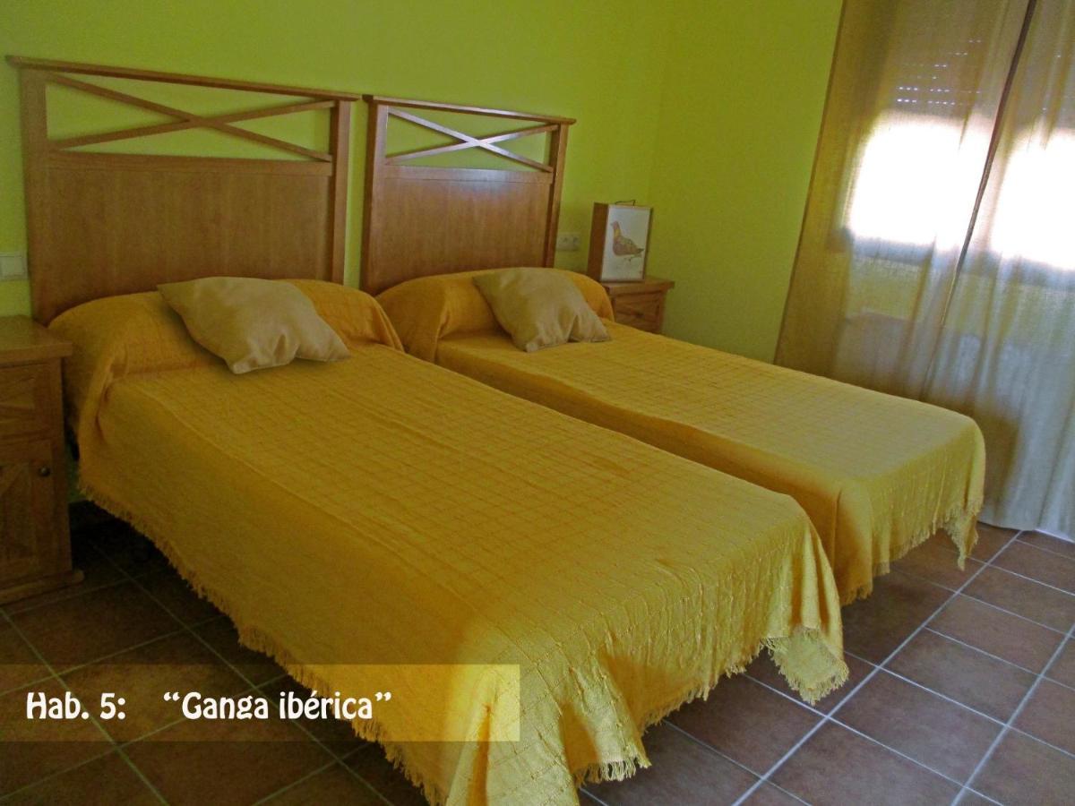Casa Rural El Nidal Casas de Don Pedro Dış mekan fotoğraf